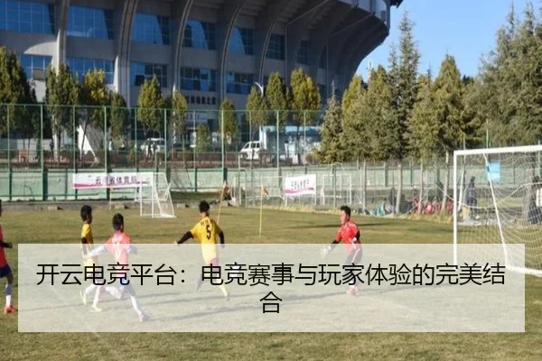 开云电竞平台：电竞赛事与玩家体验的完美结合