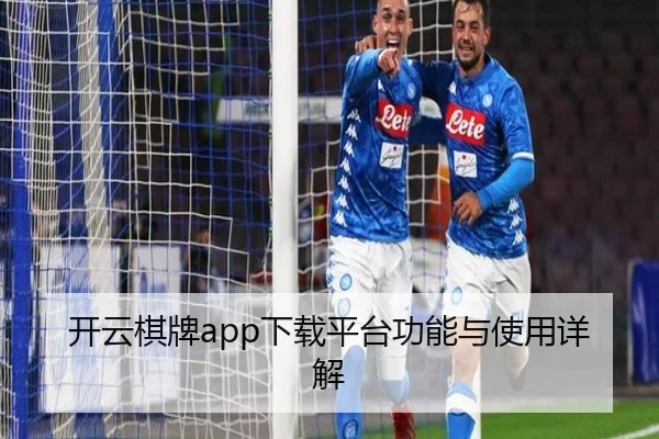 开云棋牌app下载平台功能与使用详解