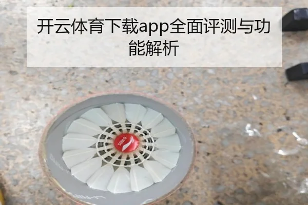 开云体育下载app全面评测与功能解析